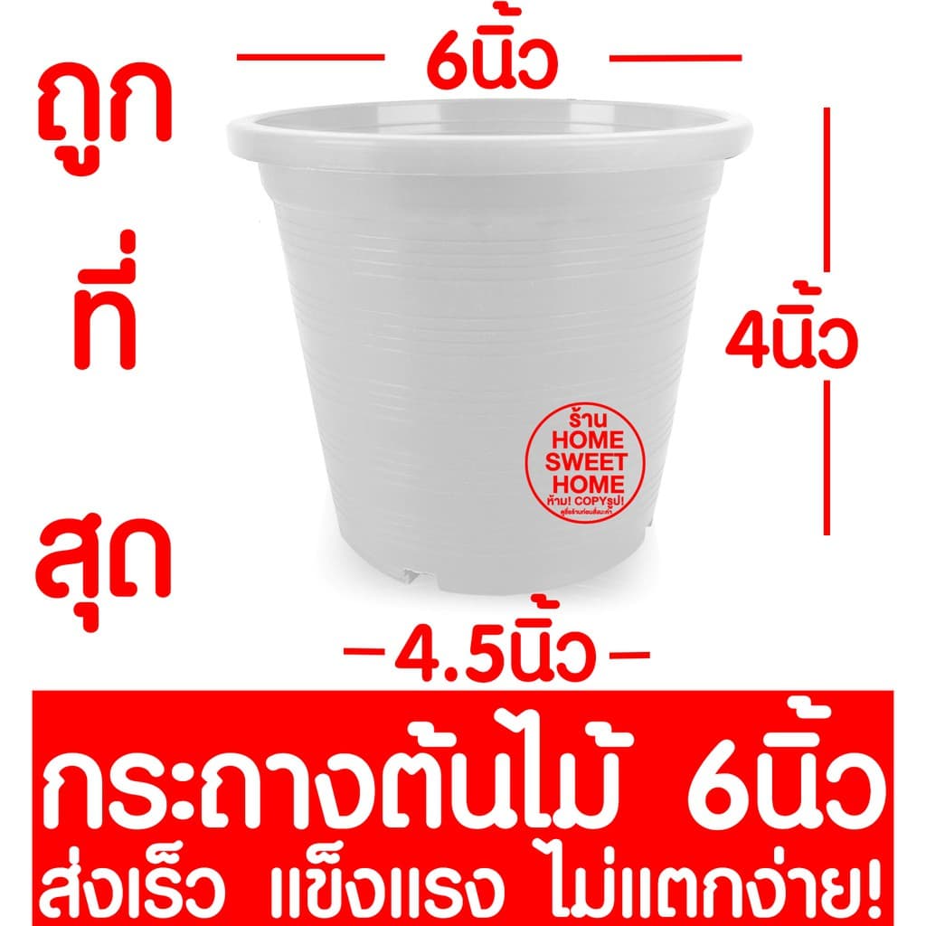 กระถางเพาะชำ กระถางต้นไม้ สีขาว ปลูกต้นไม้ ลวดแขวนกระถาง ลวดแขวนต้นไม้ เพาะปลูก กล้วยไม้ ต้นไม้ ฟองน้ำ 4/5.5/6/8 นิ้ว รูปที่ 6