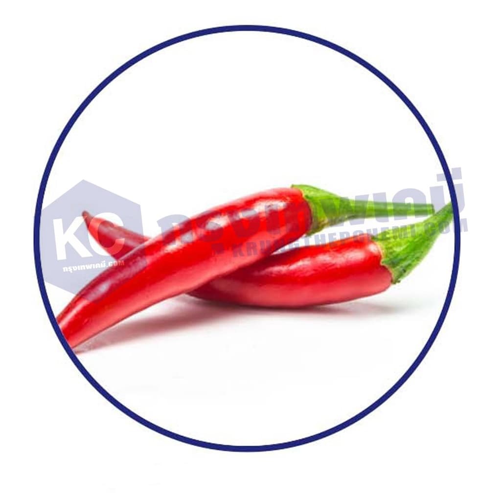 T001CX-25G Capsicum Oleoresin Extract : สารสกัดพริกแดง 25 กรัม รูปที่ 2