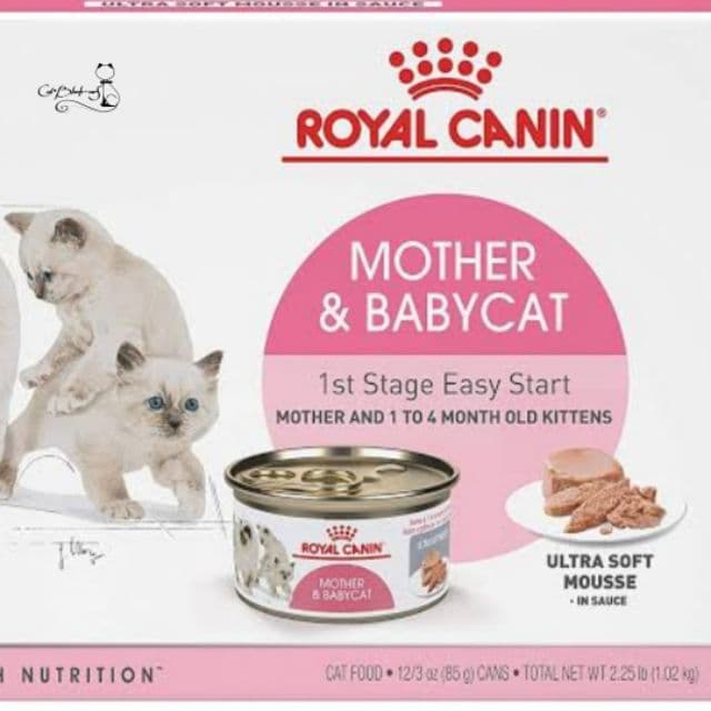 Royal Canin Babycat Can 195g รูปที่ 2