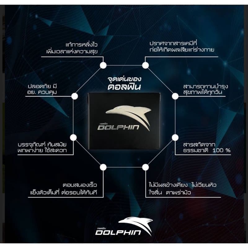Dolphin หรือ Dolphinmore รูปที่ 3