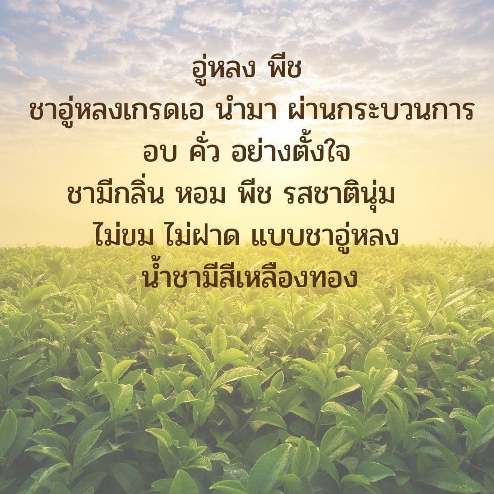 ชาพีช ชาอู่หลงพีช Peach Oolong tea ใบชาอู่หลงอย่างดีคัดเฉพาะใบอ่อน รสนุ่ม กลิ่นหอมพีช รูปที่ 8