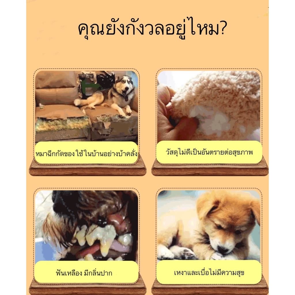 AL-296 ตุ๊กตาของเล่นเด็กสุดน่ารัก บีบมีเสียง ตุ๊กตาสัตว์เลี้ยง ของเล่นสุนัข หมา แมว ตุ๊กตาน่ารัก รูปที่ 2