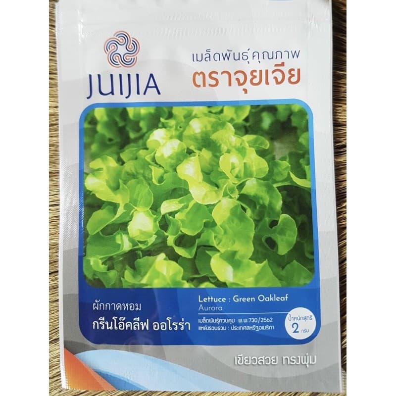 สลัด กรีนโอ๊ค ลีฟ ออโรร่า รูปที่ 1