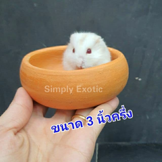 ถ้วยชามดินเผา ชามดินเผาใส่น้ำใส่อาหารสัตว์ รบกวนอ่านรายละเอียดก่อนสั่ง รูปที่ 6