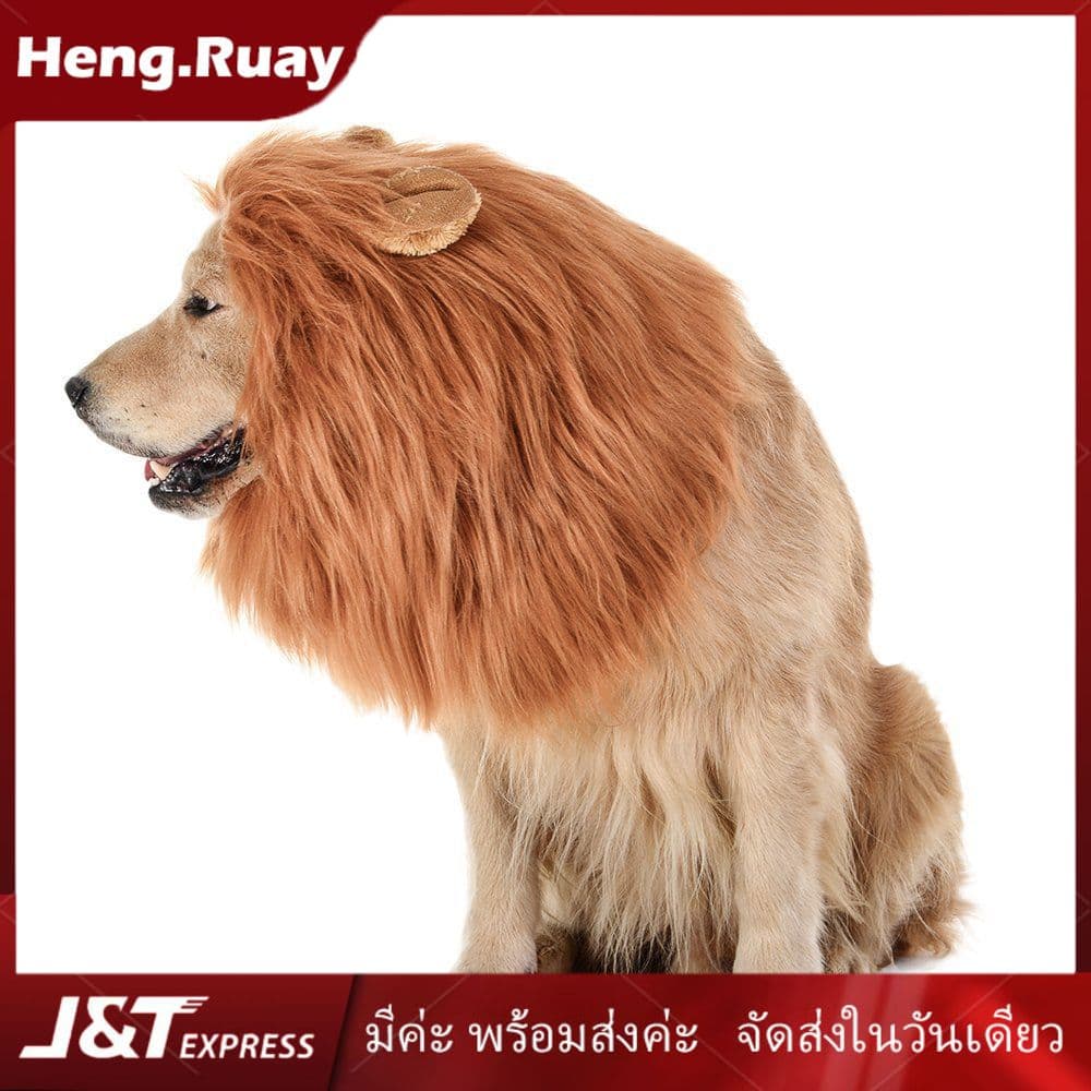 วิกผมสัตว์เลี้ยง วิกผมหมา ทรงแผงคอสิงโต สำหรับสุนัข Cat wig dog wig รูปที่ 1