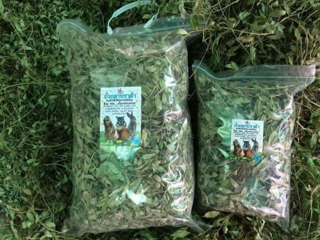 ถั่วกลาบาต้า 500 กรัม glabata 500 g by pet premium รูปที่ 6