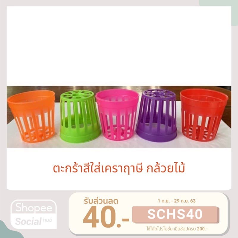 ตะกร้าสี กระถางถ้วยหลากสี ขนาด 2 นิ้ว สำหรับใส่เคราฤาษี กล้วยไม้ เดฟพันธุ์ต่าง รูปที่ 1