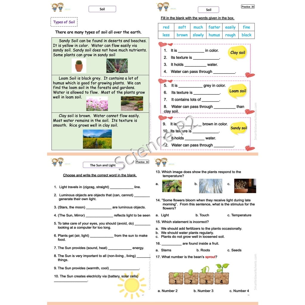ใบงาน Science ป.2 EP/MEP/MSEP | ครบ 2 เทอม พิมพ์สีทั้งเล่ม 83 หน้า พร้อมสรุป+เฉลย รูปที่ 6