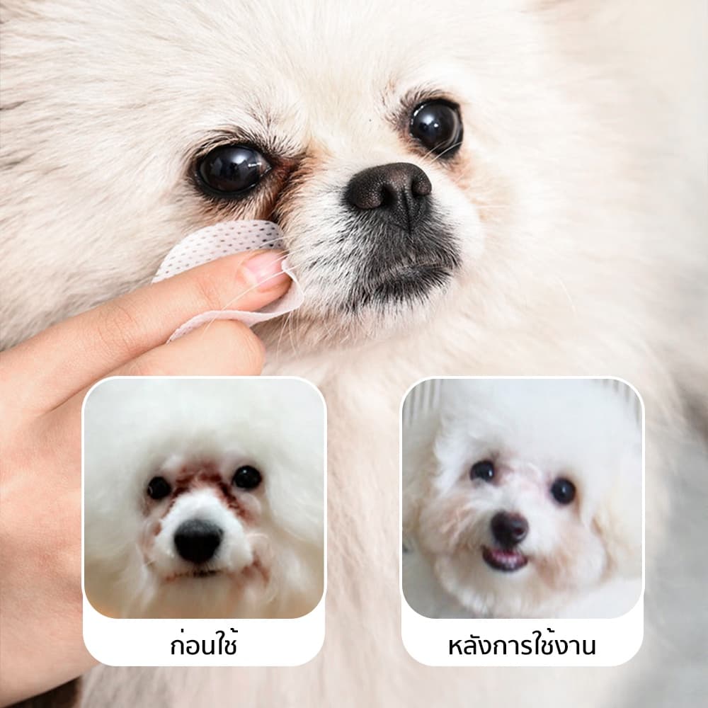 PetStern ผ้าเช็ดทำความสะอาดตา หู แบบอ่อนโยน สำหรับแมวและสุนัข ห่อละ 200 ชิ้น แผ่นเช็ดสุนัขและแมว รูปที่ 7