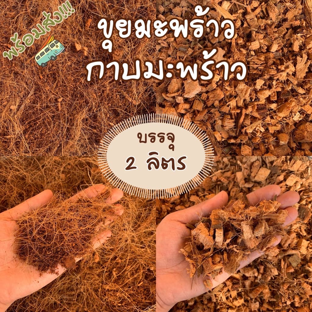 กาบมะพร้าวสับ ขุยมะพร้าว กาบมะพร้าว มะพร้าวสับ  ผสมดินปลูก รองก้นกระถาง