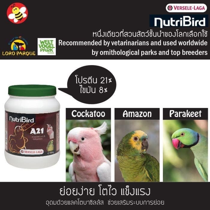 Nutribird อาหารนกลูกป้อนสูตรนกทั่วไป Nutribird A21 ขนาด 100 g., 250 g. ,800g. รูปที่ 4