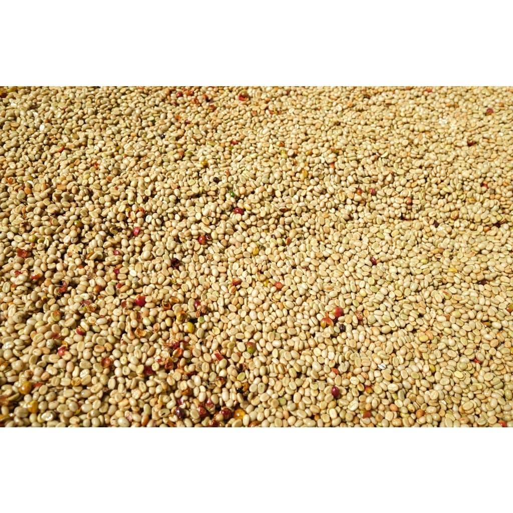 PS--Small Peaberry Dark Roast 1,000g. พีเบอรี่เล็กคละ คั่วเข้ม คั่วสดใหม่ตลอด รูปที่ 2