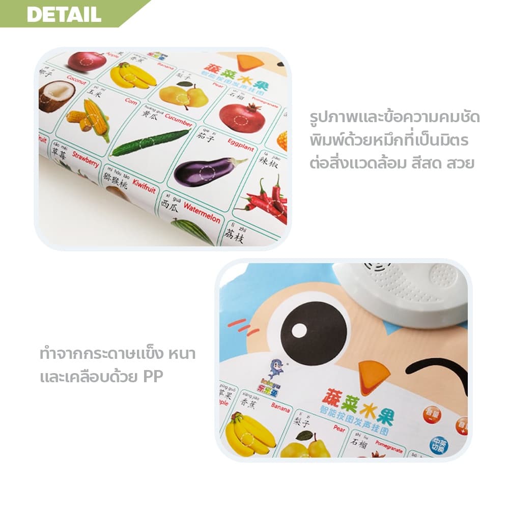 ERORO โปสเตอร์นกฮูกพูดได้ 1-3ภาษา กดมีเสียง สำหรับเรียนรู้คำศัพท์ภาษาจีน ภาษาอังกฤษ รูปที่ 4