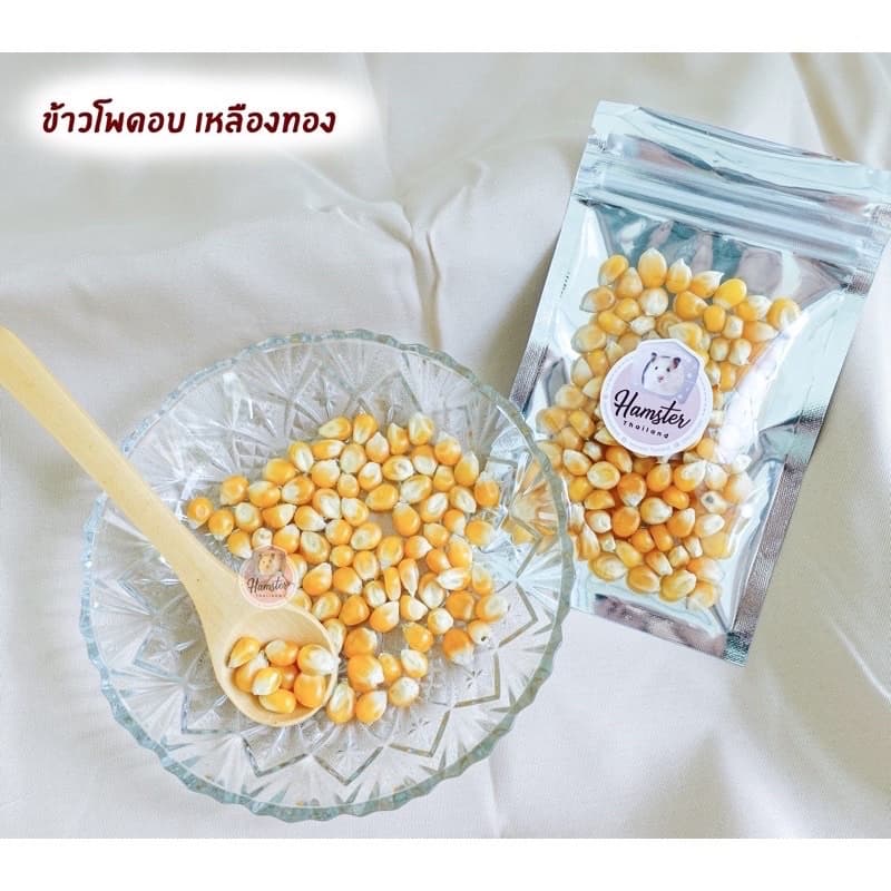Hamsterthailand ข้าวโพดจิ๋ว ขนมสำหรับสัตว์เลี้ยง ขนมลับฟัน ที่ลับฟัน เม่นเเคระ ดอเม้าท์ แฮมสเตอร์ รูปที่ 5