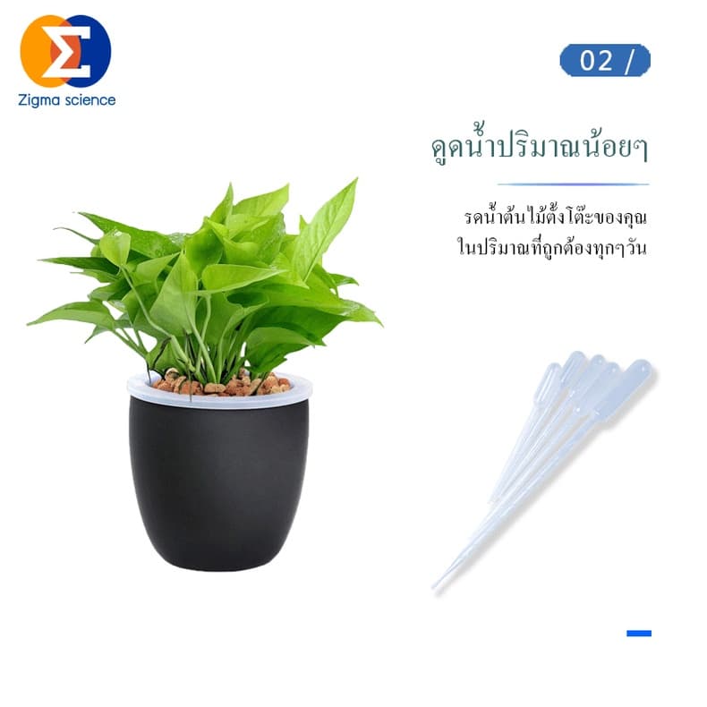 Zigma science - Dropper, Pasteur pipette, Tranfer pipette, ที่หยดของเหลว ที่ดูดของเหลว ขนาด 0.2, 0.5, 1, 2, 3, 5, 10 ml. รูปที่ 5