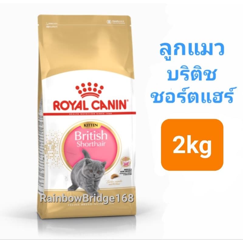 Royal Canin British Shorthair Kitten 2kg โรยัลคานิน ลูกแมวบริติช / British Shorthair Adult 2kg แมวโต ถุง 2 กก. รูปที่ 3