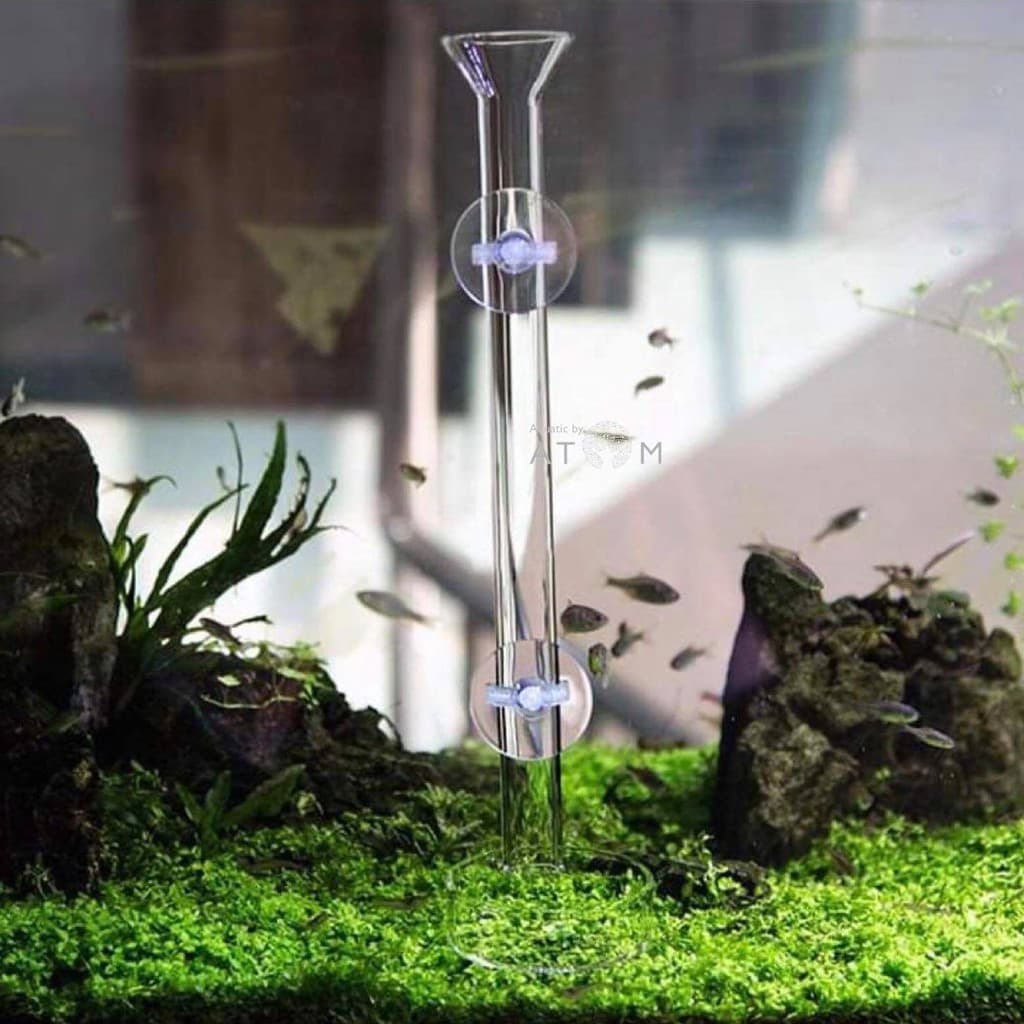 หลอดแก้วให้อาหารปลา กุ้งแคระ พร้อมถาดแก้ว Glass Feeder Tube รูปที่ 7