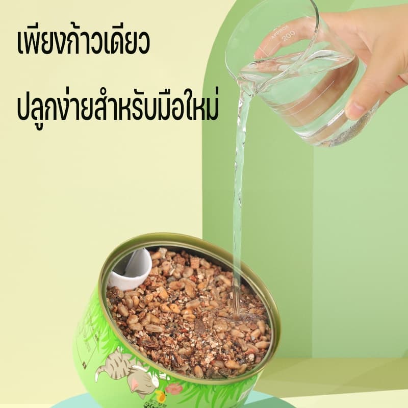 ！！หญ้าแมว ออร์แกนิค ต้นอ่อนข้าวสาลี ต้นข้าวสาลี สำหรับสัตว์เลี้ยง ต้นหญ้าแมวพร้อมทาน ส่งเสริมการย่อยอาหาร รูปที่ 3