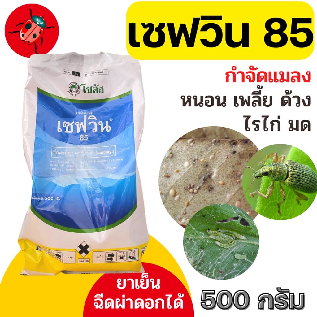 เซฟวิน 85 คาร์บาริล กำจัดแมลงได้หลากหลายชนิดทั้งเพลี้ยไฟ เพลี้ยแป้ง เพลี้ยอ่อนและแมลงปีกแข็ง รูปที่ 2