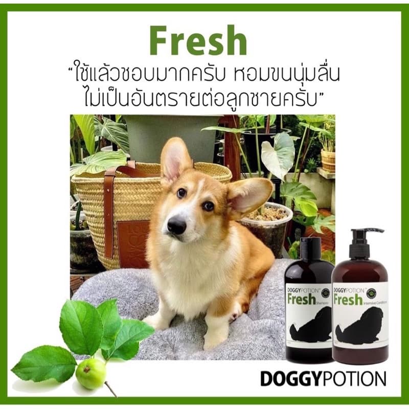 NEW!! Doggy Potion Fresh Conditioner ขนาด 500ml รูปที่ 8