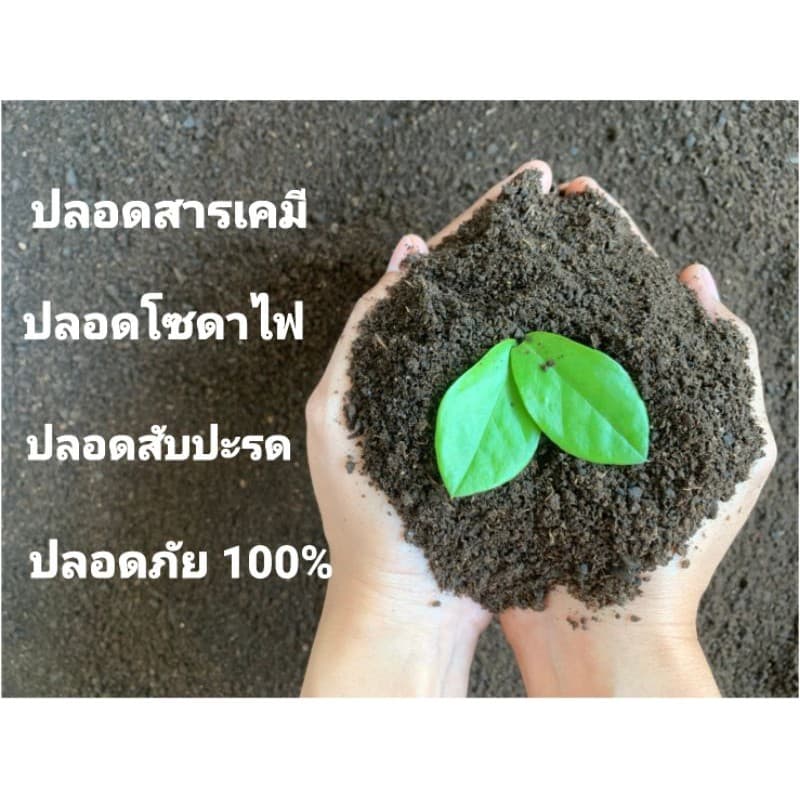 มูลวัวหมัก ปุ๋ยอินทรีย์ ขนาด 1kg | NT FARM รูปที่ 3