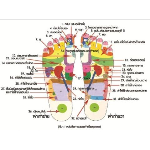ที่นวดรูปฝ่าเท้า ที่นวดสปริงฝ่าเท้า คลายเส้น แก้ปวดเมื่อย ไม้นวดเพื่อสุขภาพ 25x27x9 CM. รูปที่ 6