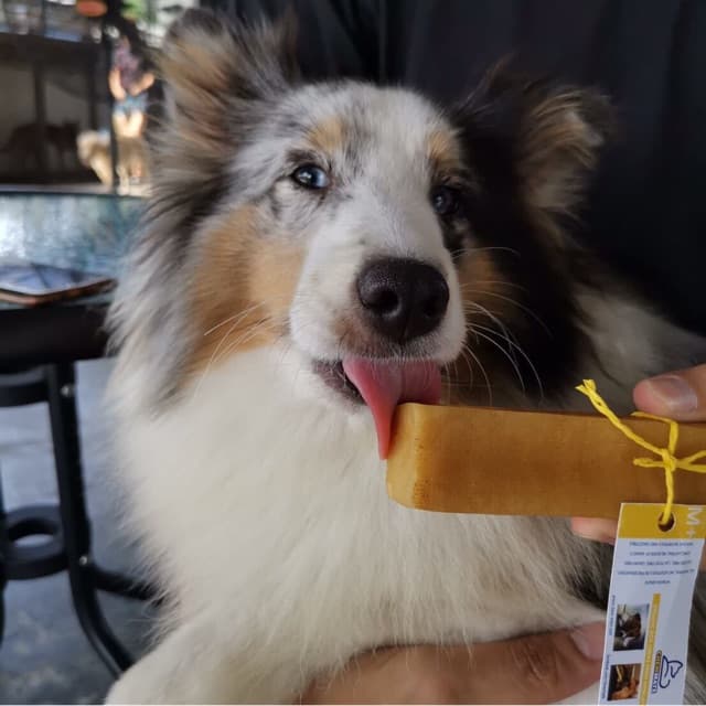 ชีสแท่งนมจามรี ไซส์ M+ /Himalayan Dog Chew Large Size รูปที่ 4