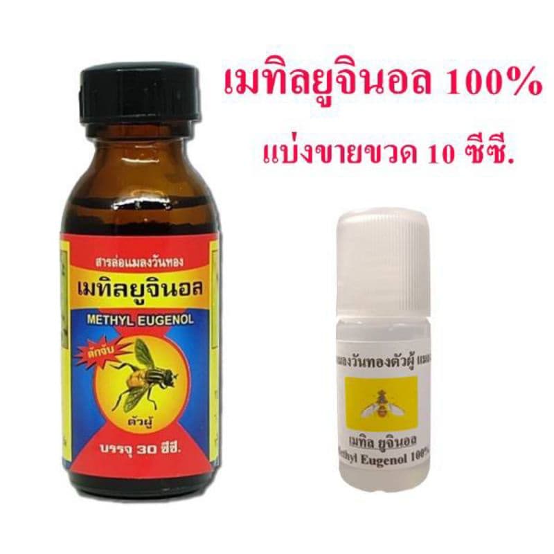 ขวด 10 ซีซี สารล่อแมลงวันทอง เมทิลยูจินอล สารล่อแมลงวันผลไม้ เมธิลยูจินอล รูปที่ 2