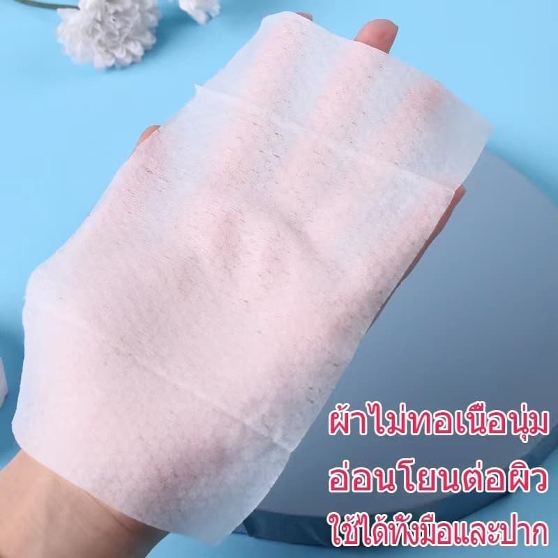 ชุดทิชชู่เปียก 1 ชุด 10 แพ็ค ผ้าเช็ดทำความสะอาดผ้าเช็ดทำความสะอาด รูปที่ 3