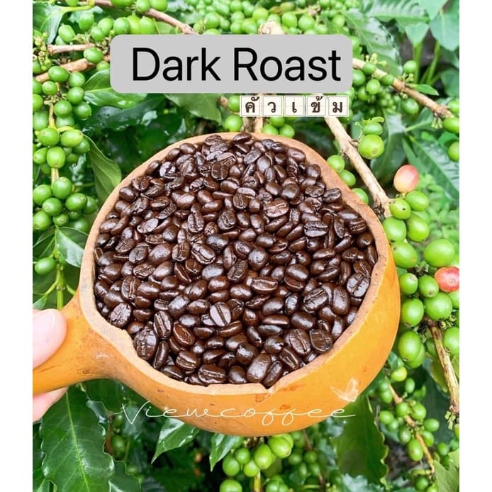 ดอยช้าง เกรดพรีเมียม ดอยช้างวิว เมล็ดกาแฟคั่วบด Arabica % หอม ละมุน รูปที่ 7