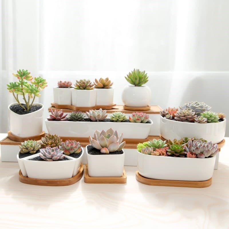 Plants Center T203 กระถางต้นไม้ เซรามิกขาวเพชร Diamondมีถาดรองไม้ ขนาด เป็นเซรามิกเคลือบเงา รูปที่ 7