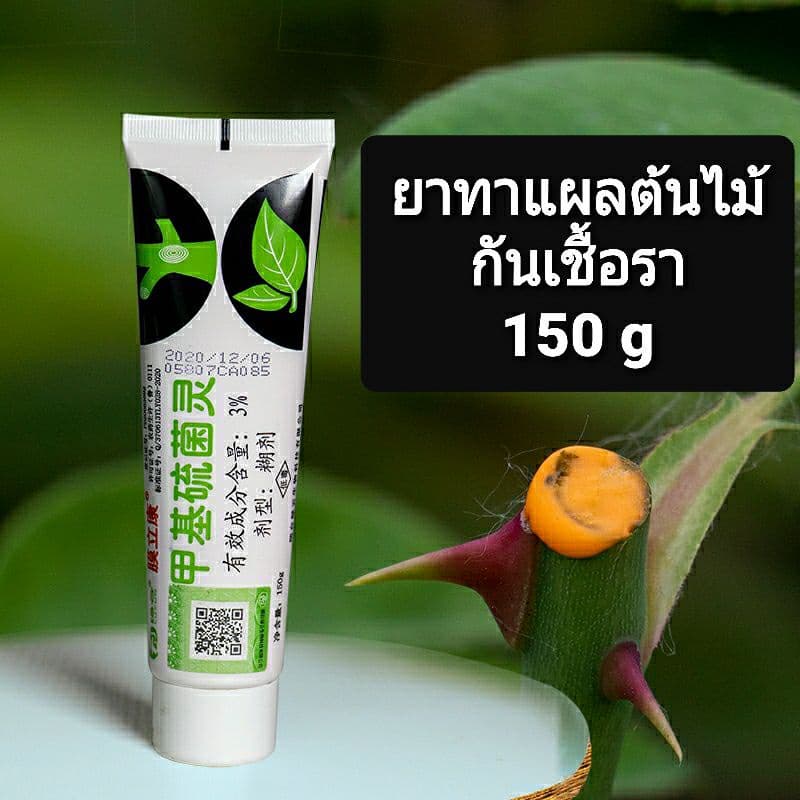 ยาทาแผลต้นไม้ ป้องกันเชื้อรา ป้องกันกิ่งเน่า กิ่งดำ บอนไซ กุหลาบ แคคตัส ชวนชม ไม้ตัดกิ่ง ไม้ทุกชนิด รูปที่ 2