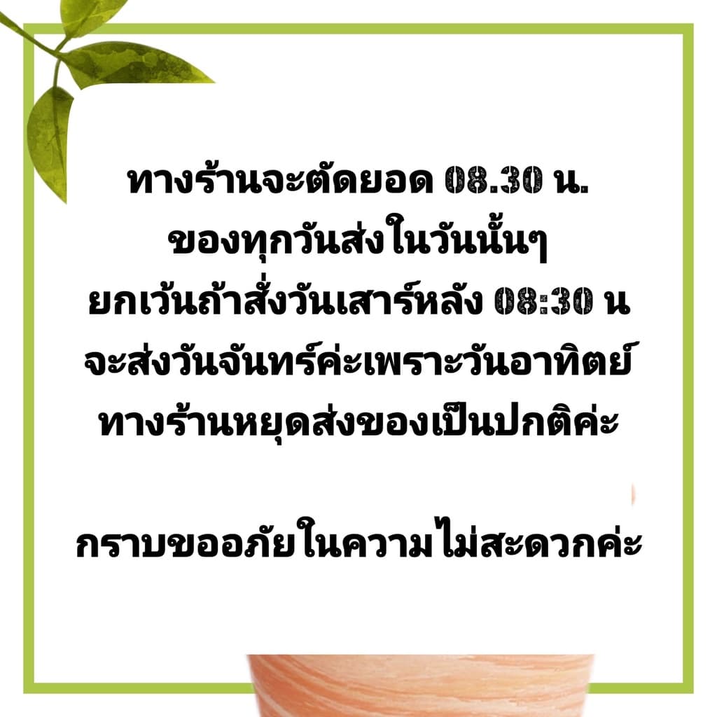 // ป้ายปักต้นไม้ ป้ายลายไทย // ป้าย tag // ป้ายชื่อ รูปที่ 3