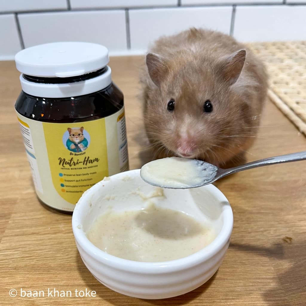 อาหารเสริม Nutri-ham by Dr.hamster อาหารพลังงานสูง สำหรับสัตว์ป่วย เบื่ออาหาร ฟื้นฟูหลังการผ่าตัด รูปที่ 2