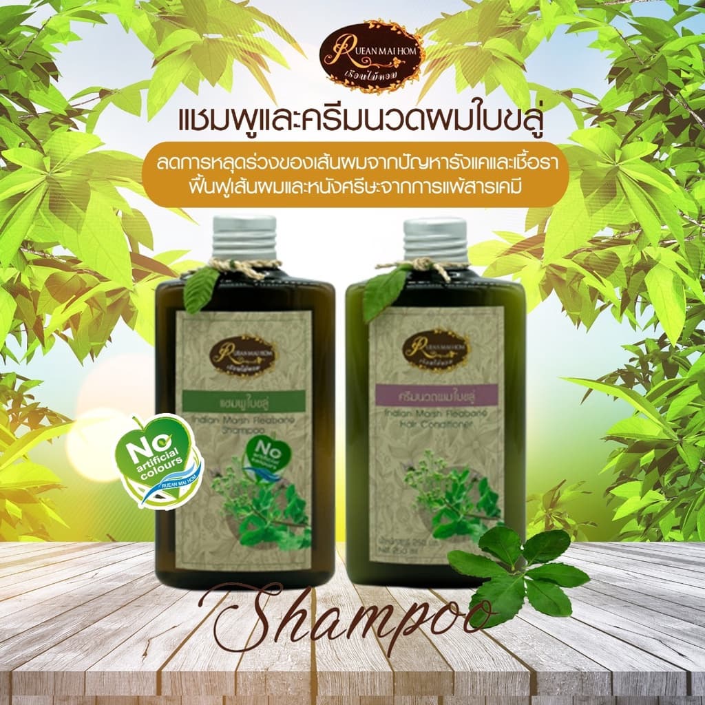 แชมพูใบขลู่ขนาด 250 มิลลิลิตร แชมพูแก้ผมร่วง แชมพูสมุนไพร ลดการหลุดร่วงของเส้นผม Rueanmaihom รูปที่ 2