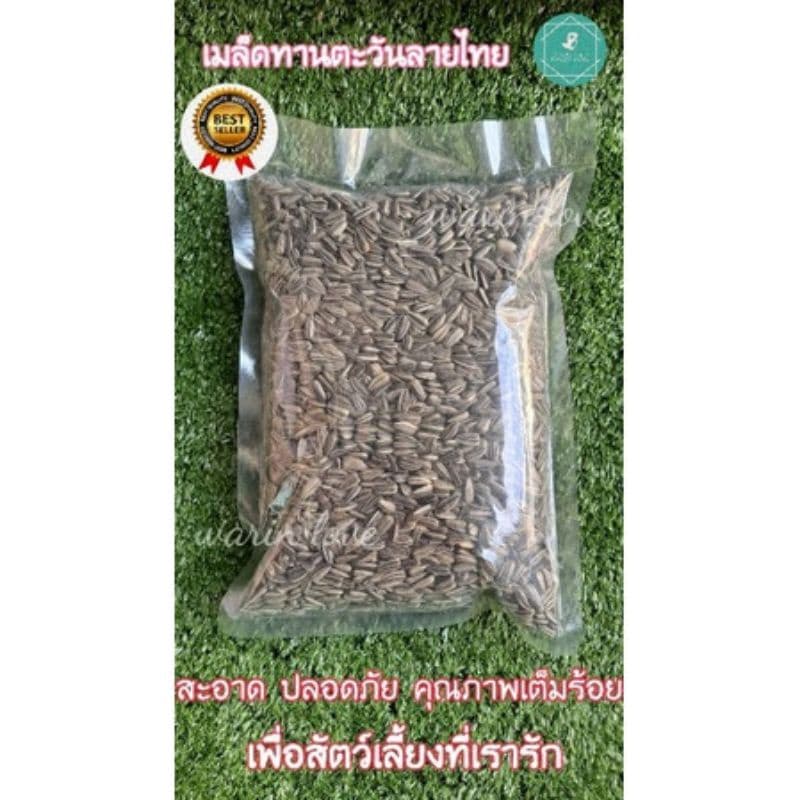 เมล็ดทานตะวันลายไทย 500g.,1 Kg.,3 Kg. อาหารนก บำรุงนก เสริมสำหรับนก และ สัตว์ฟันแทะ หนู นก ชูก้า รูปที่ 5