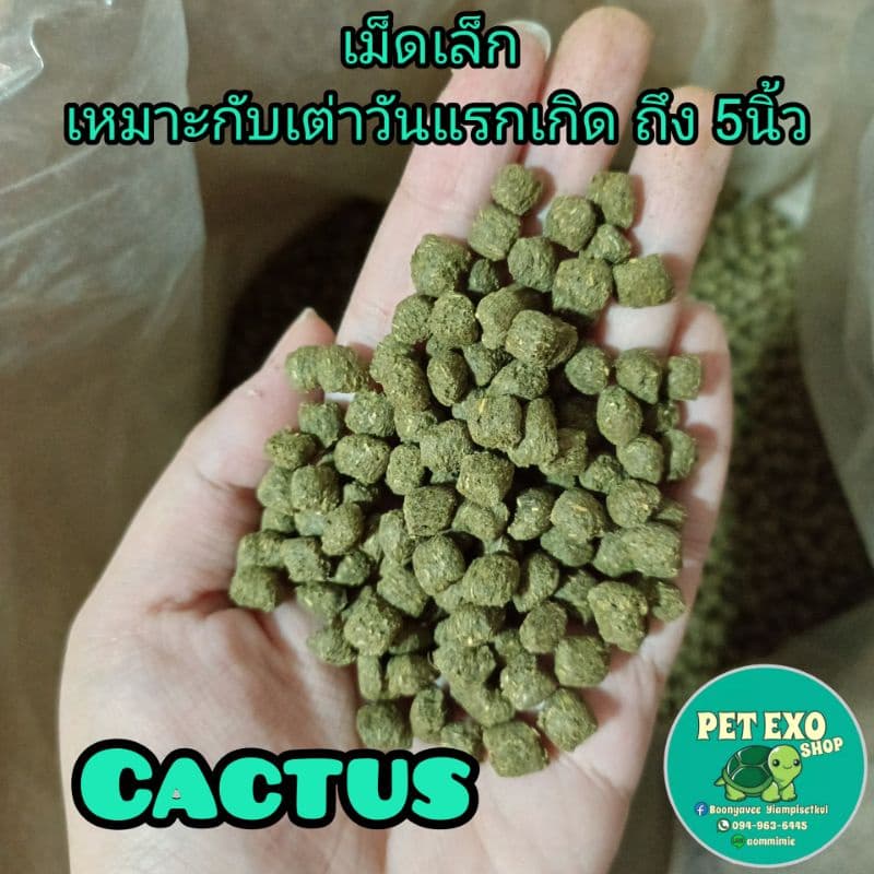 T-Balance อาหารเต่าบก ทีบาล้านซ์ 2สูตร Original และ Cactus รูปที่ 8