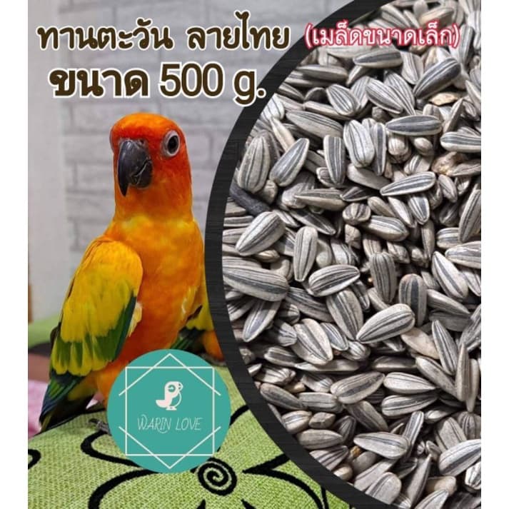 เมล็ดทานตะวันลายไทย 500g.,1 Kg.,3 Kg. อาหารนก บำรุงนก เสริมสำหรับนก และ สัตว์ฟันแทะ หนู นก ชูก้า รูปที่ 7