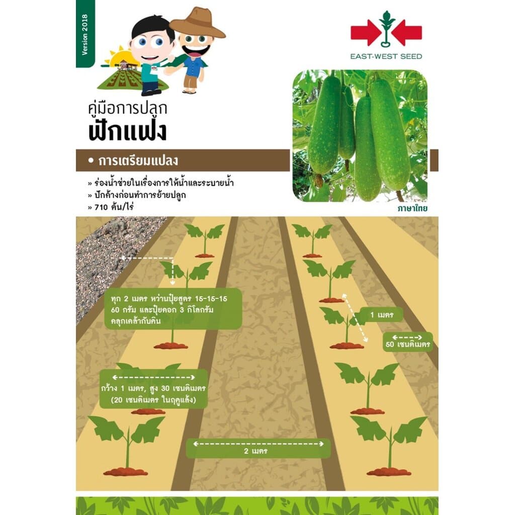 GGEW เมล็ดพันธุ์ซฟ แฟงหอม ฟักหอม แป้นหอมนวล 80 เมล็ด ตราศรแดง Wax Gourd รูปที่ 4