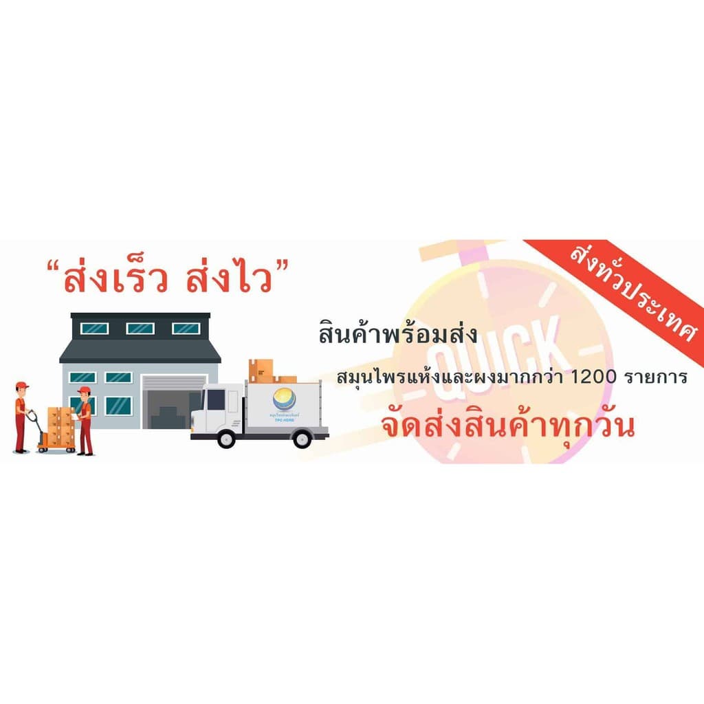 เปราะหอมแห้ง "คัดมือ ด้วยความใส่ใจ" ปลูกไทย กลิ่นชัด เปราะหอม ว่านเปราะหอม เปราะหอมสวน รูปที่ 7