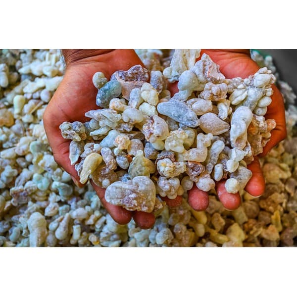 กำยาน เม็ดกำยาน เรซิ่น อโรม่า Frankincense Resin แท้ 100% จากประเทศโอมาน Oman กลิ่นหอมสะอาด ลดความเครียด ช่วยฟอกอากาศ รูปที่ 6