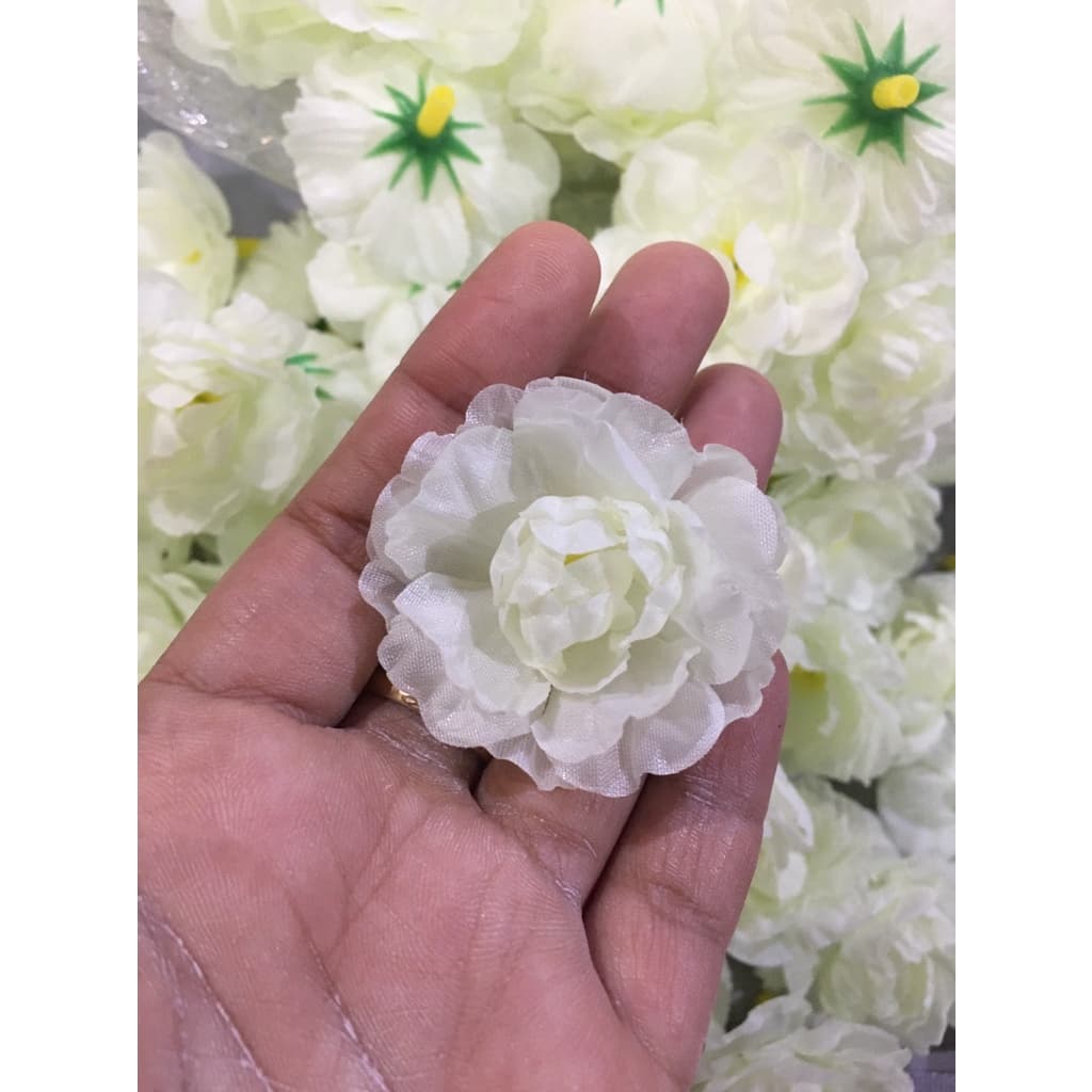 ดอกมะลิบาน ดอกมะลิบานสีขาวอมเขียว ดอกมะลิผ้า หัวดอกมะลิ รูปที่ 1