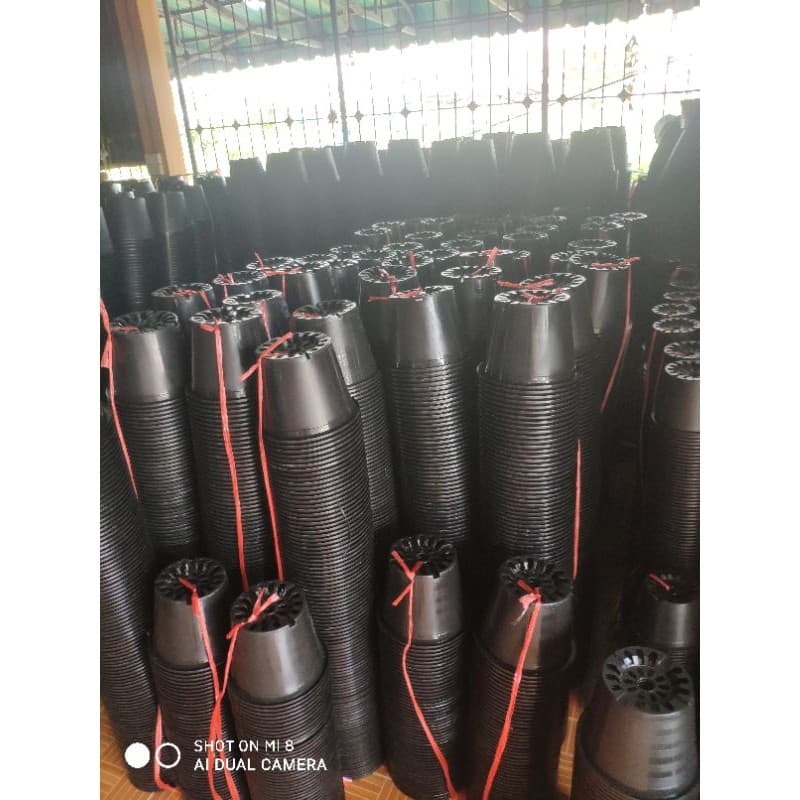 กระถางขนาด 10 นิ้ว มัด 25ใบ ราคาส่ง รูปที่ 2