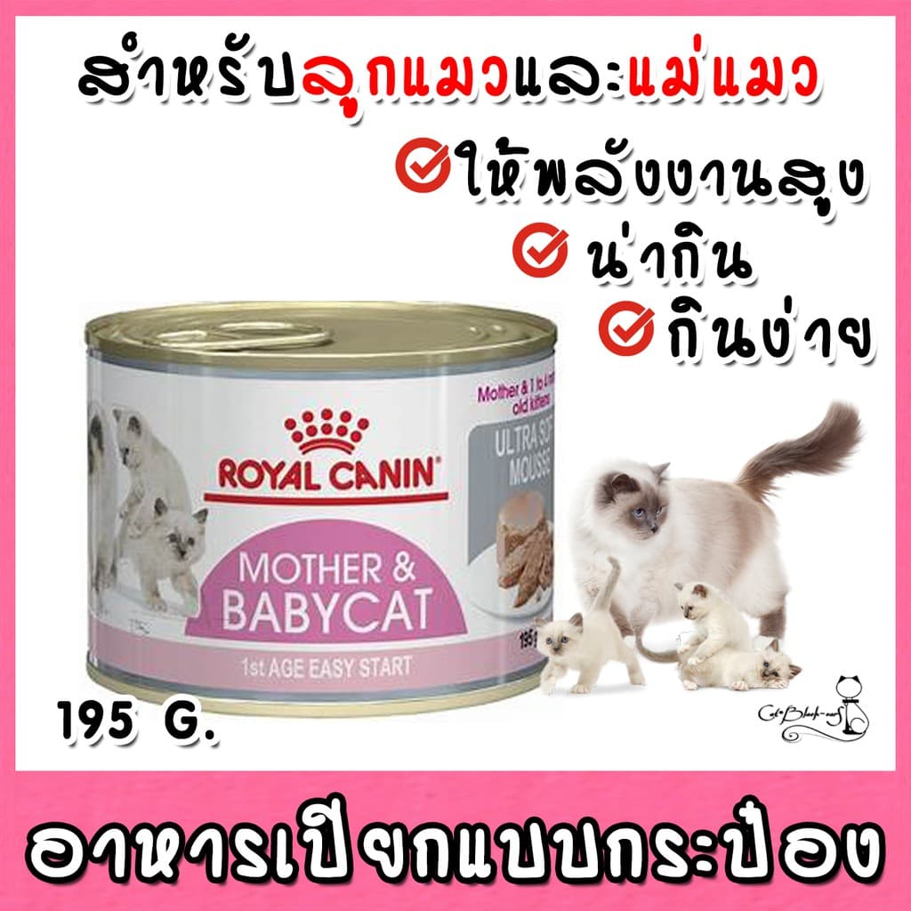 Royal Canin Babycat Can 195g รูปที่ 1