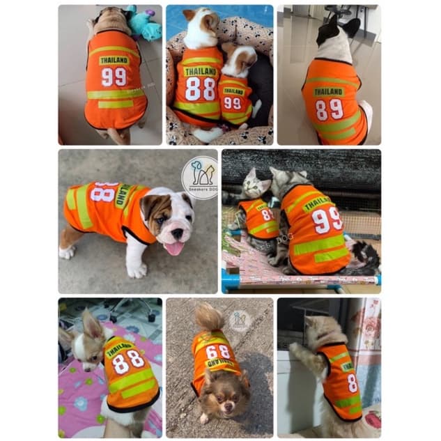 เสื้อผ้าของสัตว์เลี้ยง เสื้อวินมอเตอร์ไซด์สุนัข/แมว/กระต่าย/ลิง/ รูปที่ 4
