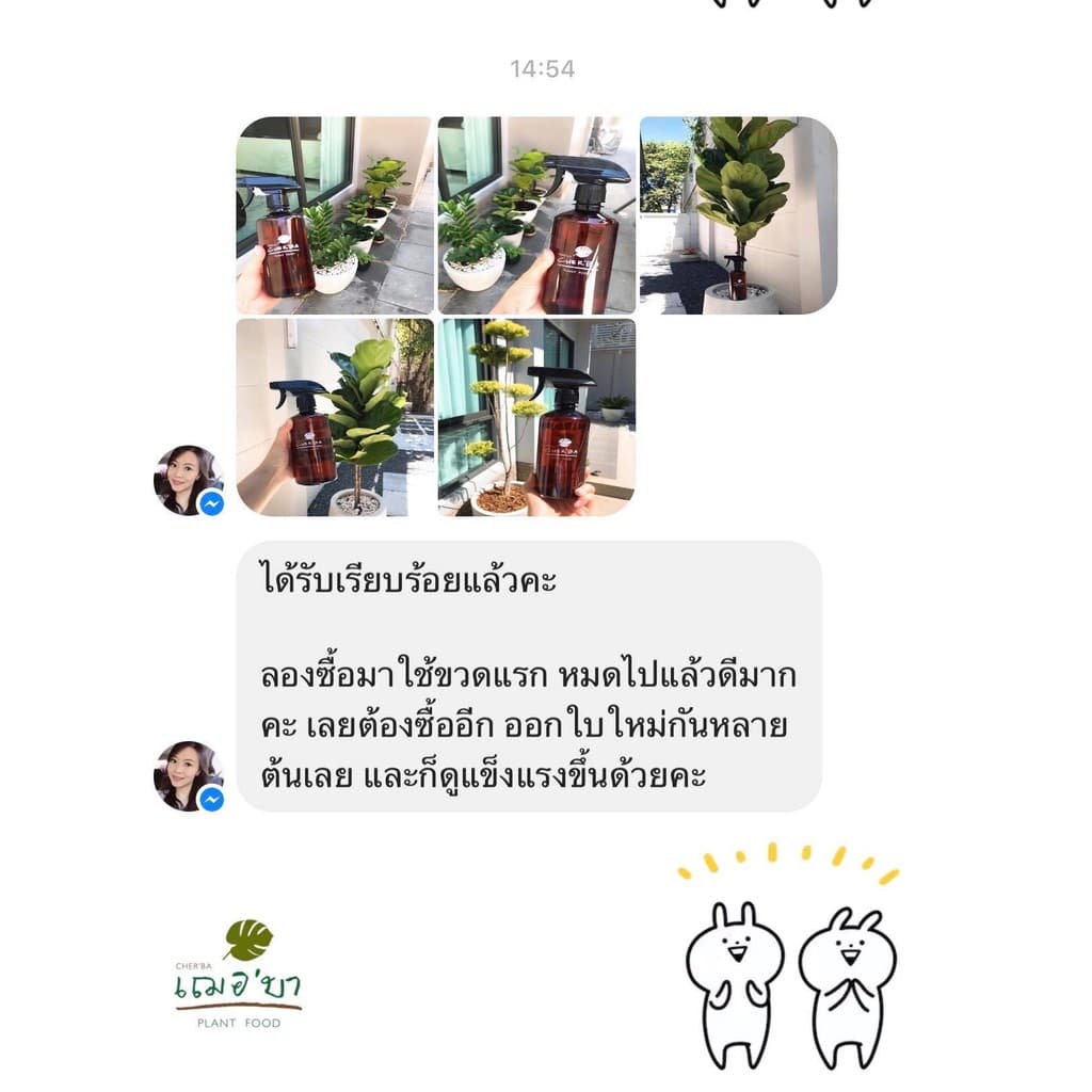 เฌอบา อาหารเสริมต้นไม้ บำรุงกิ่ง ก้าน ใบ แบบขวดสเปรย์ สเปรย์บำรุงใบ สเปรย์บำรุงต้นไม้ อาหารพืช ต้นไม้ รูปที่ 9