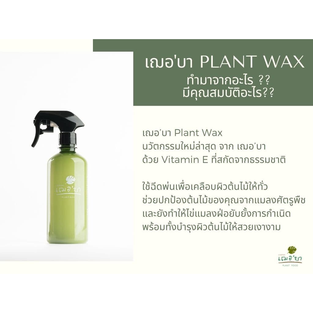 เฌอบา อาหารเสริมต้นไม้ เคลือบผิวใบ Wax ด้วยวิตามิน E สเปรย์บำรุงใบ สเปรย์บำรุงต้นไม้ อาหารพืช 450 ML รูปที่ 5