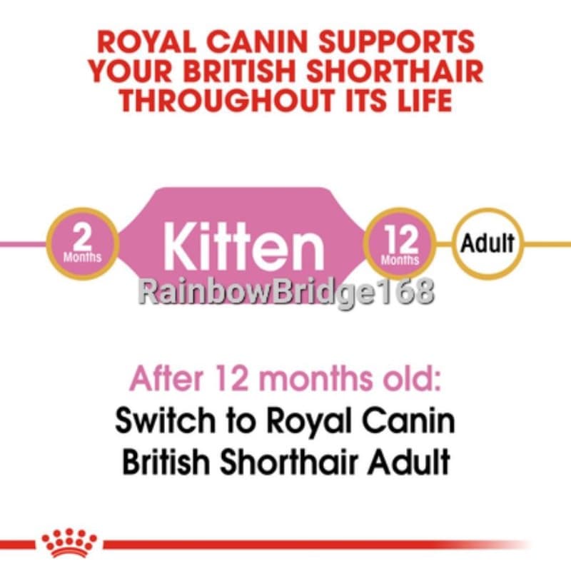 Royal Canin British Shorthair Kitten 2kg โรยัลคานิน ลูกแมวบริติช / British Shorthair Adult 2kg แมวโต ถุง 2 กก. รูปที่ 5