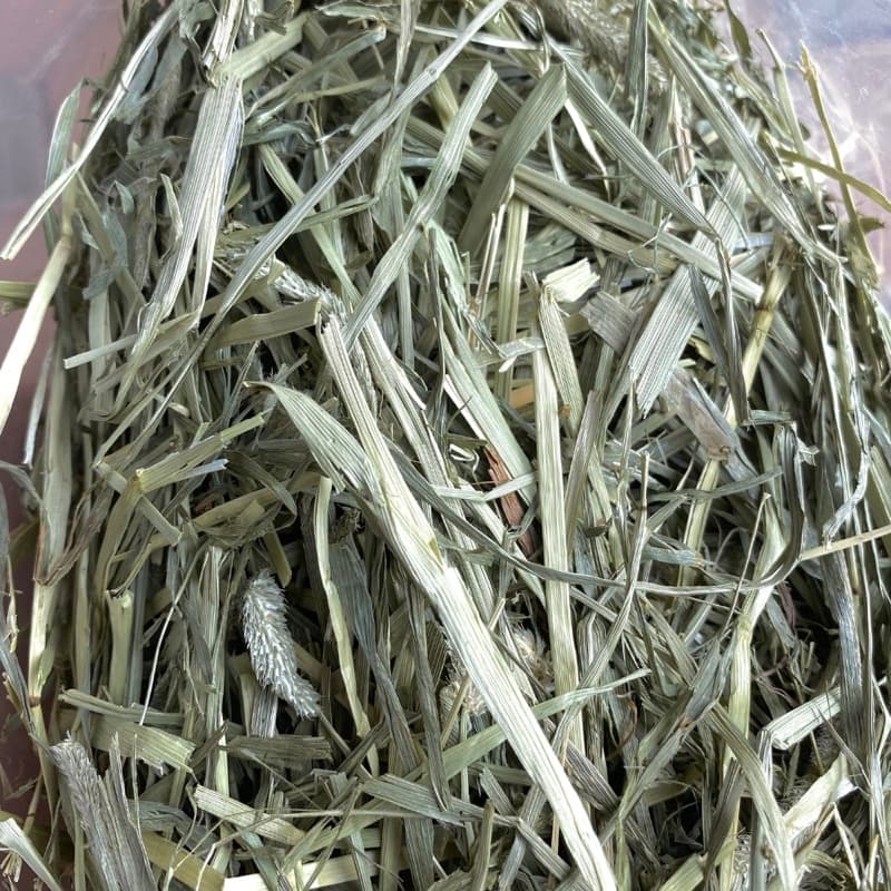 หญ้าทิมโมธีเกรดซุปเปอร์พรีเมี่ยม 400g /1kg ร่อนฝุ่น ดอกเยอะ หอม เขียว หญ้าทิโมธีพรีเมียม รูปที่ 3