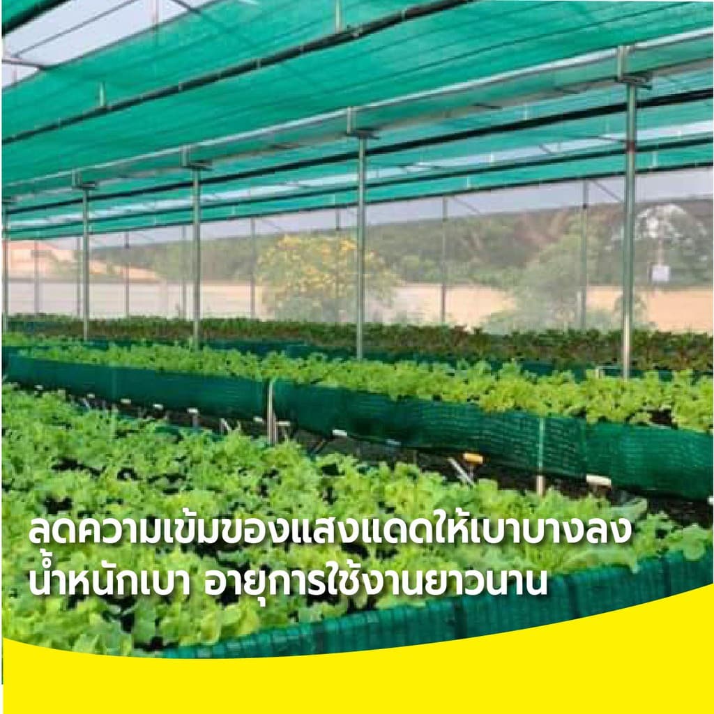 สแลนหน้ากว้าง 1เมตร สแลนกรองแสง 50% 60% 70% 80% ตาข่ายกรองแสง ตาข่ายบังแดด กันแดด ทอลายเส้นตรง ตัดขายเป็นเมตร รูปที่ 7